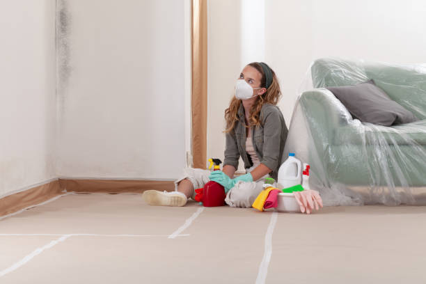 Reliable Mold Cleanup contractor in Watchung, NJ by WQB Mold Removal